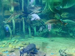 -华夏文旅海洋公园