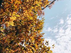 -紫金山索道-售票处
