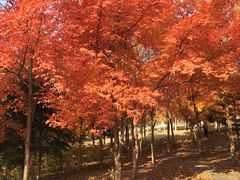 -长春世界雕塑园冰雪艺术天地
