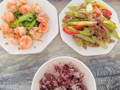 -田螺阿姨自营月嫂·育儿嫂(高新店)