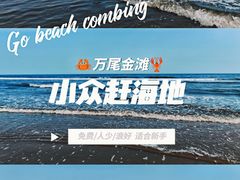 -万尾金滩