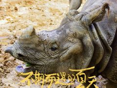 -上海野生动物园