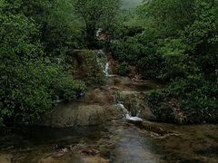 -黄龙山原始森林景区