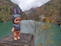 -叠溪松坪沟景区