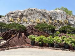 -北京西山国家森林公园