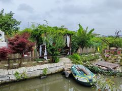 -樂桃源奉贤黄桃种植采摘基地