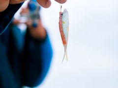 -徐记海鲜(曲江南湖店)