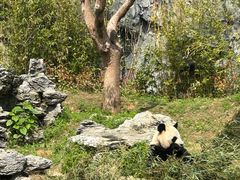 -杭州野生动物世界