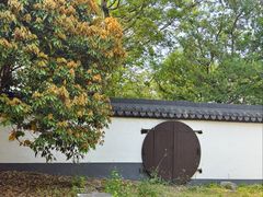 -上海佘山国家森林公园天马山园