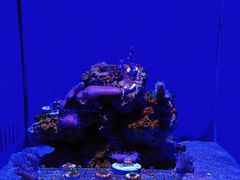 -青岛海底世界-水族馆