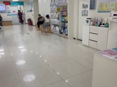 -美联众合动物医院·24h京西诊疗中心