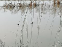 -艾溪湖湿地公园