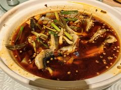 花椒柳根子-樽宴酒楼·地道川菜·品质宴请
