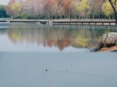 -贡湖湾湿地公园