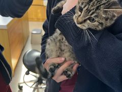 -美联众合动物医院·24h京西诊疗中心