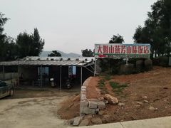 -大姆山草场