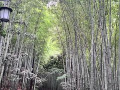 -敬亭山风景名胜区