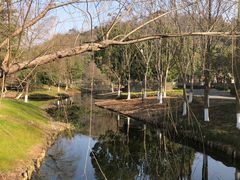 -绍兴镜湖国家城市湿地公园