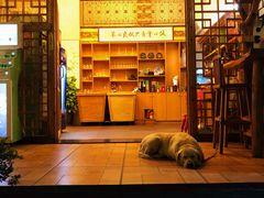 -朕悦鹧鸪饭私房菜