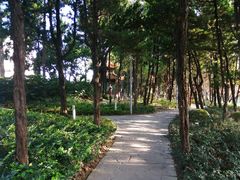 -嘉定紫藤园