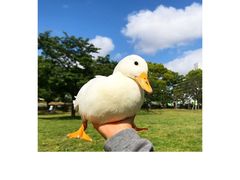 -沁园春李芳中医诊所(百瑞景店)