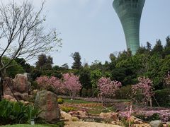 -狐尾山公园