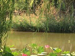 -南翠屏公园