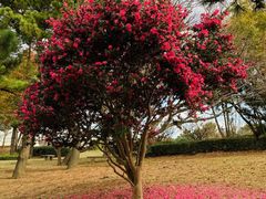 -天童教育素质成长中心(大连开发区校区)