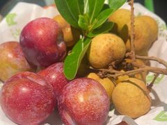 -季季山·云南野生菌火锅(上海首店)