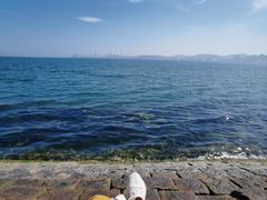 -悦海公园