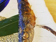 盐烤秋刀鱼-慢走(甜水园店)