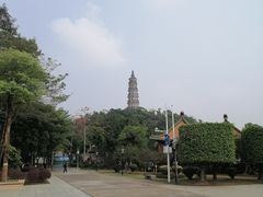 -顺峰山公园