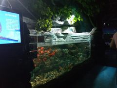 -无锡海洋馆