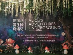 -爱丽丝冒险奇遇记