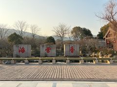 -香雪海