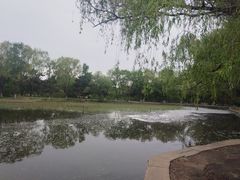 -北陵公园