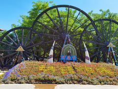 -呀路古热带植物园