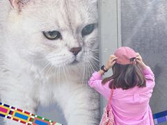 -方浜中路45弄小区