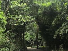-采石矶景区
