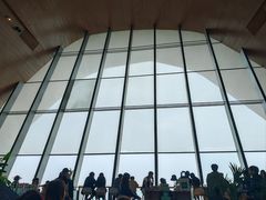 -抱抱地球咖啡馆(国家海洋博物馆店)