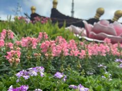 -文华公园(禅城区)