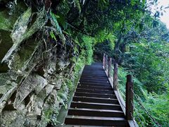 -瓦屋山景区