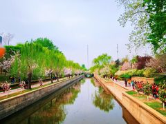 -海棠花溪(元大都城垣遗址公园)