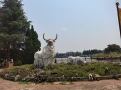 -云南民族村