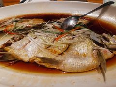 -丹江渔村(望京店)