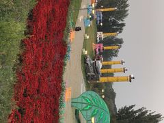-密云玫瑰情园