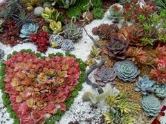 -南通洲际绿博园