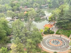 -西苑公园