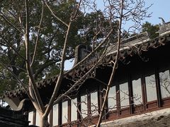-上海醉白池公园
