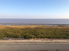 -南汇嘴观海公园